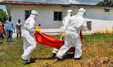 Kongo'da Ebola salgını: 610 ölü