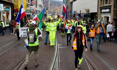 Hollanda'da sarı yelekliler 19'uncu kez hükümeti protesto etti