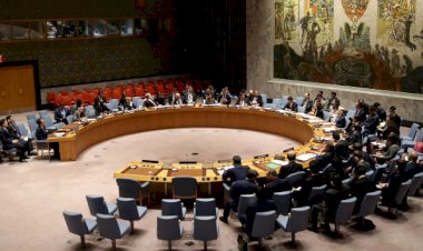 BM'den Orta Afrika'ya silah ambargosuna ilişkin yol haritası