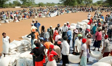 Zimbabve'den 613 milyon dolarlık yardım çağrısı