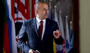 Cezayirlilerden Çavuşoğlu'na destek