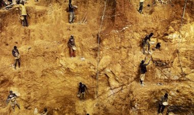 BAE, Afrika'nın altınlarını kaçırıyor