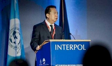 Eski İnterpol başkanı tutuklandı