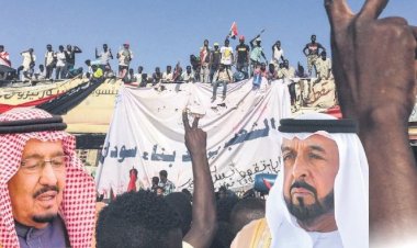 BAE ve Suudi'den darbecilere mali destek