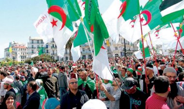 Cezayir sokaklarının öfkesi dinmiyor