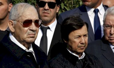 Cezayir'de Buteflika'nın kardeşi gözaltına alındı