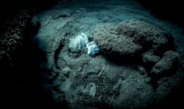 Dünya'nın en derin noktasından plastik atık çıktı