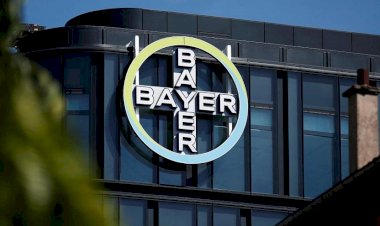Monsanto davasında Bayer'e 2 milyar dolarlık rekor ceza