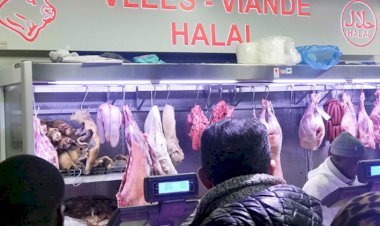 Hollanda'da 'helal kesim yasaklansın' istemiyle yasa teklifi