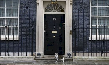 İngiltere'de 10 Numara için 10 aday