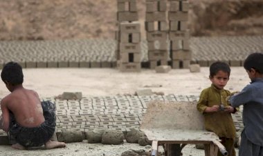 Çocuklar okul yerine gün ağarmadan işe gidiyor