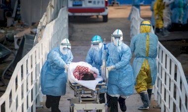 İsviçre'de bir günde 841 koronavirüs vakası