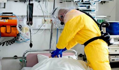 Hollanda'da koronavirüs nedeniyle ölenlerin sayısı 864'e yükseldi