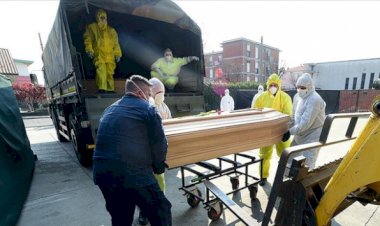 Hollanda'da ölü sayısı 5 bini, Belçika'da ise 8 bini aştı